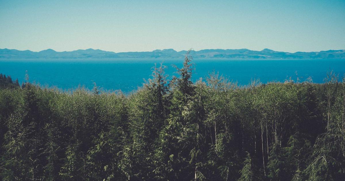 Ubuntu Server vs CentOS: Hangi Sunucu İşletim Sistemini Seçmelisiniz?