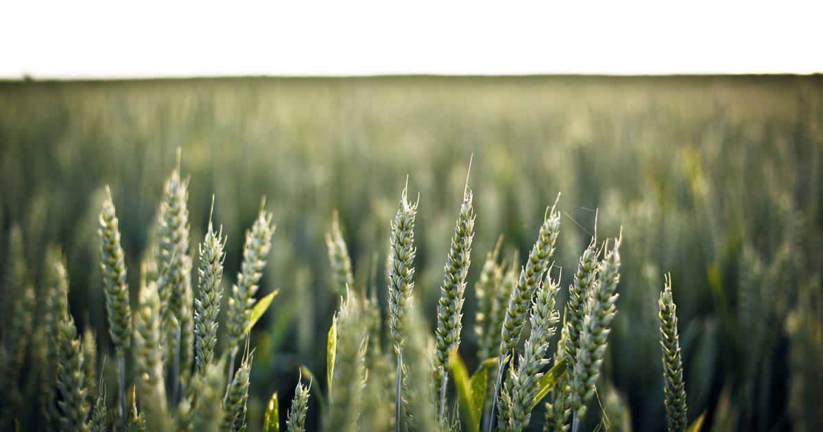 Cloud Hosting Teknolojisi: Geleceğin Sunucu Çözümleri