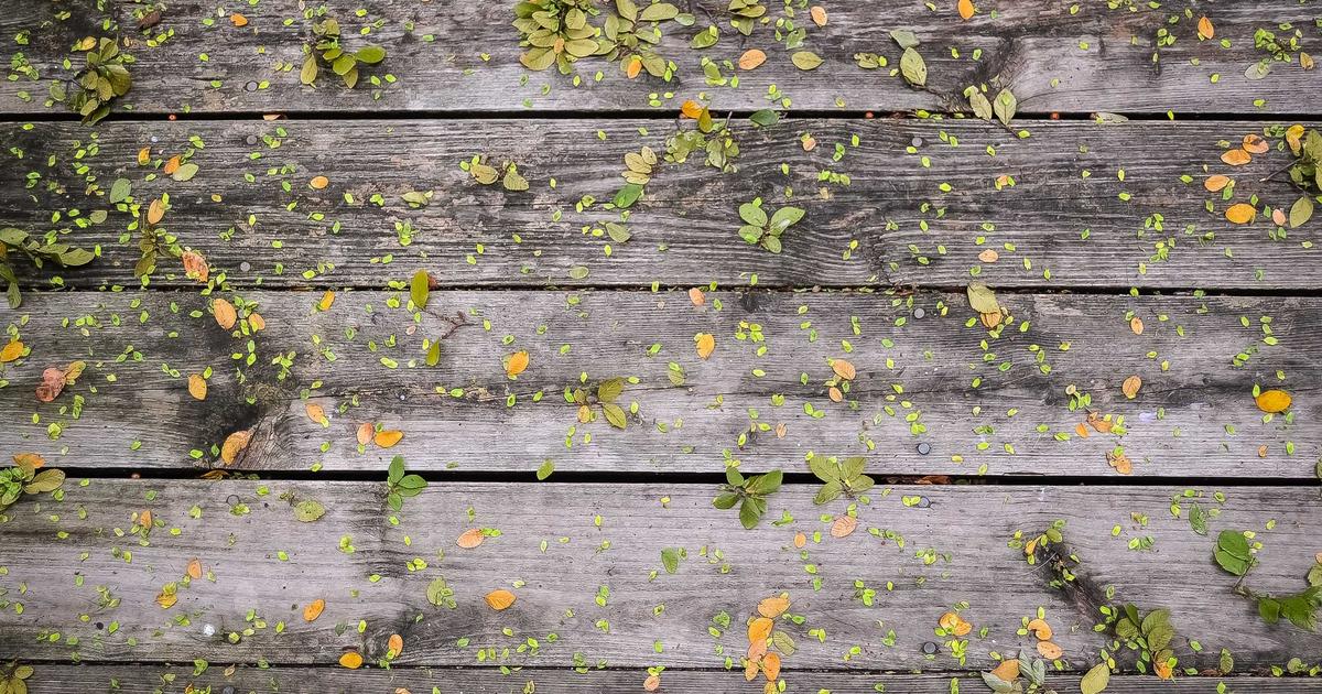 Uptime ve SLA Garantileri: Web Sitelerinizi 7/24 Etkin Tutmanın Önemi