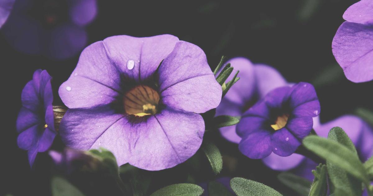 Sunucu Soğutma Sistemleri: Verimliliği Artırmanın Anahtarı