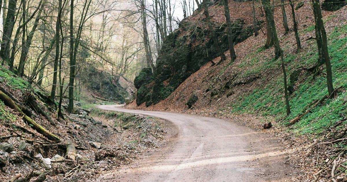 Email Hosting Çözümleri: Profesyonel Bir Rehber