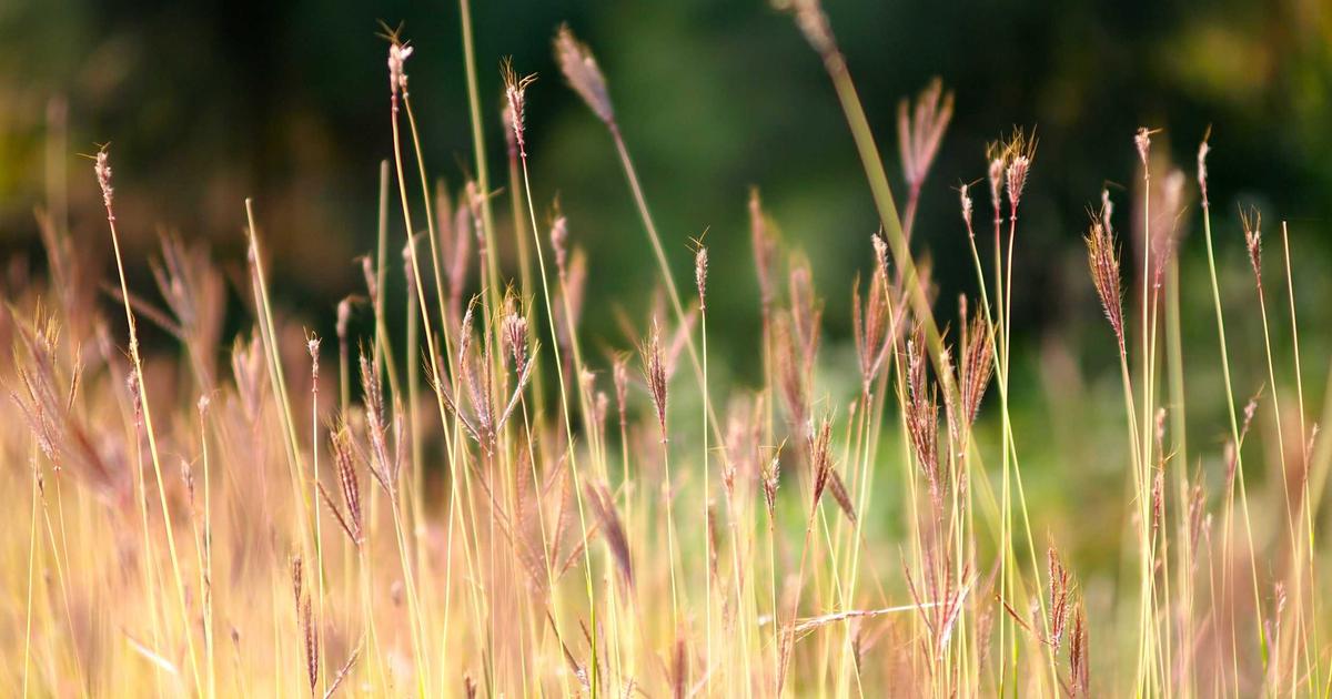 Memcached Kullanımı: Web Uygulamalarınızı Hızlandırın