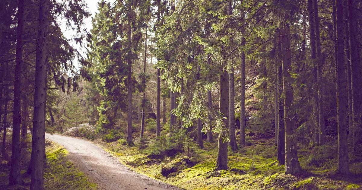 Nameserver Değiştirme İşlemi: Adım Adım Rehber ve Öneriler