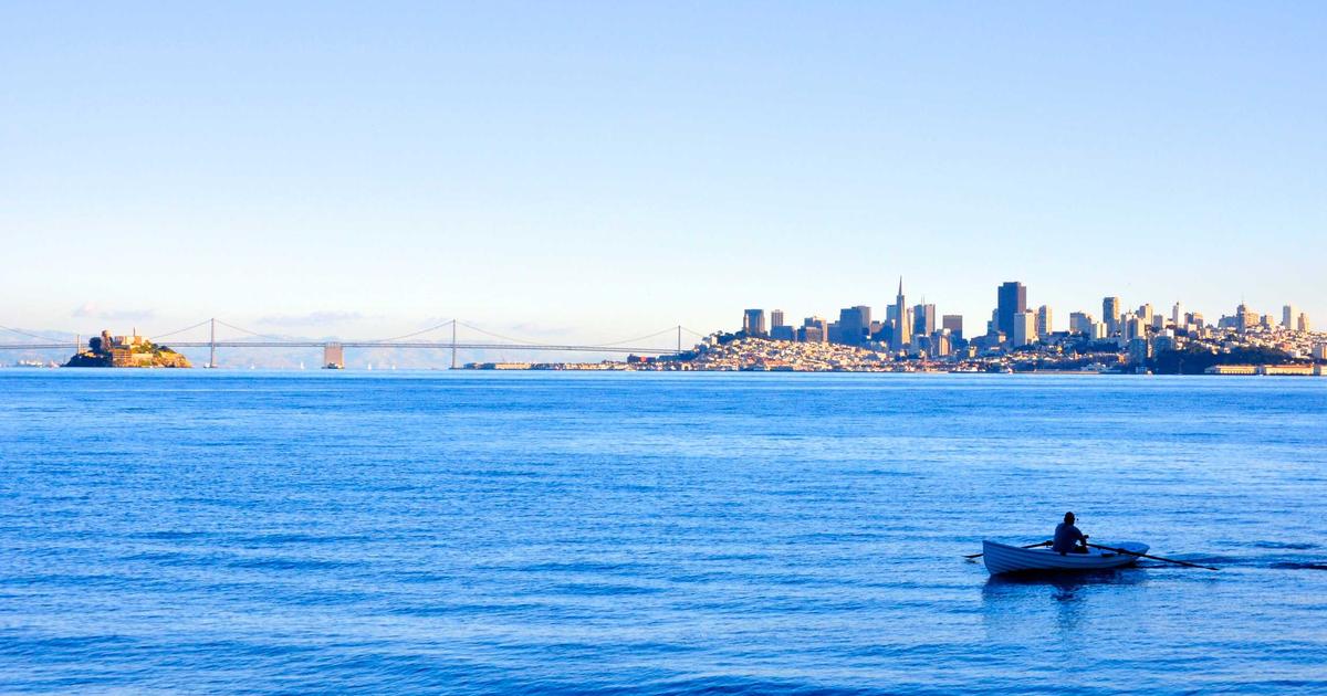 React.js Production Build: Uygulamalarınızı Nasıl Hızlandırabilirsiniz?