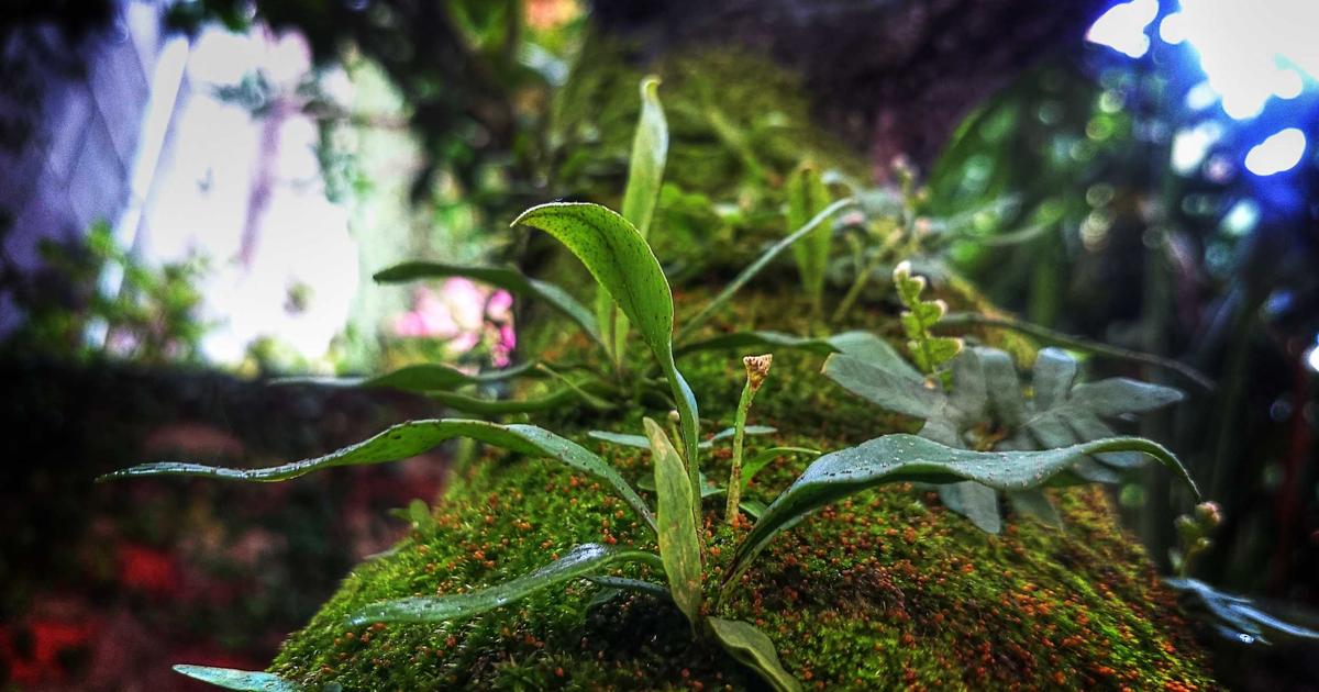 VPS Sunucu Nedir? Avantajları ve Shared Hosting ile Farkları