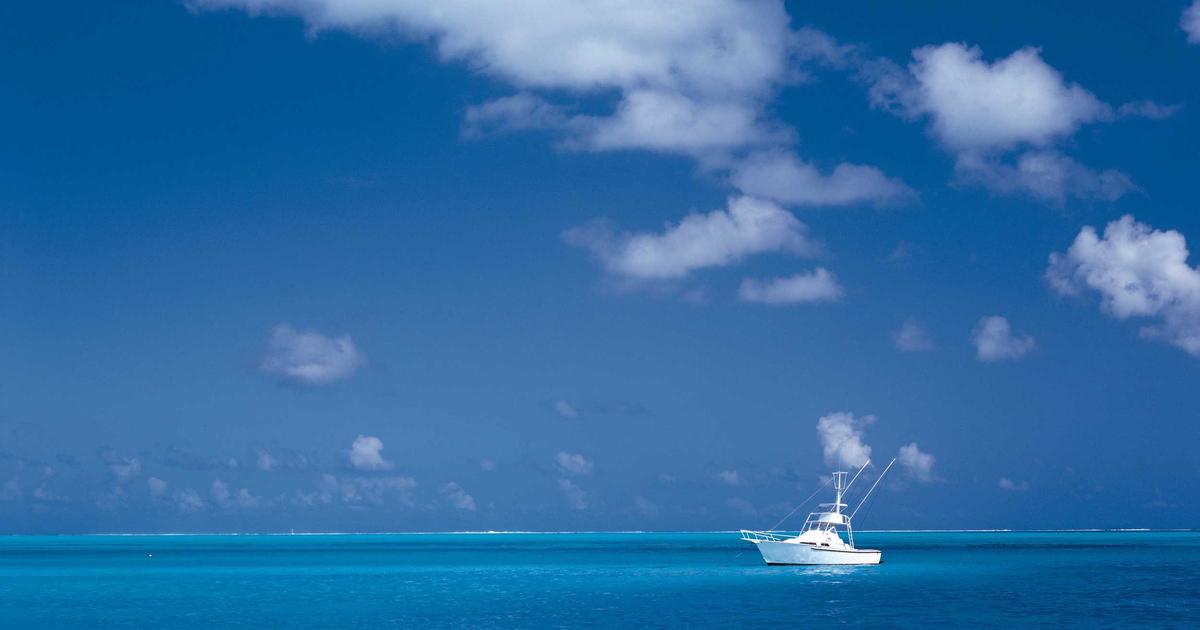 Mobil Uygulama Barındırma: Profesyonel Bir Kılavuz