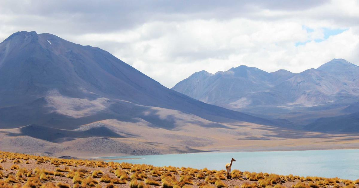 Laravel Framework Hosting: Profesyonel Bir Rehber