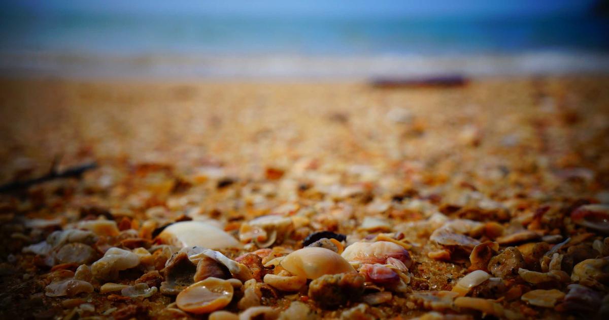 Görsel Optimizasyonu: Web Sitelerinizi Hızlandırmanın Sırları