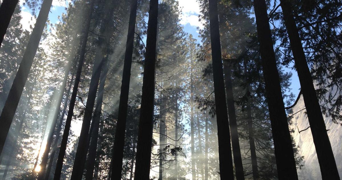 Artımlı vs Tam Yedekleme: Hangisini Seçmelisiniz?