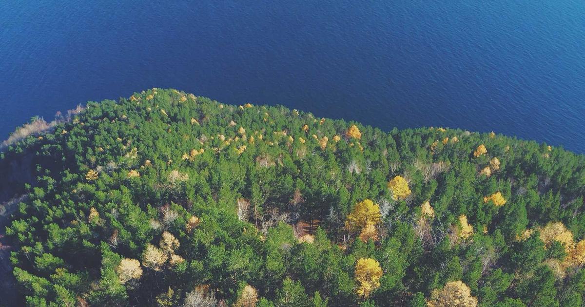 Debian Sunucu Kurulumu: Profesyonel Bir Rehber